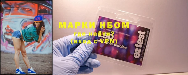 шишки Алзамай
