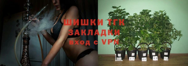 шишки Алзамай