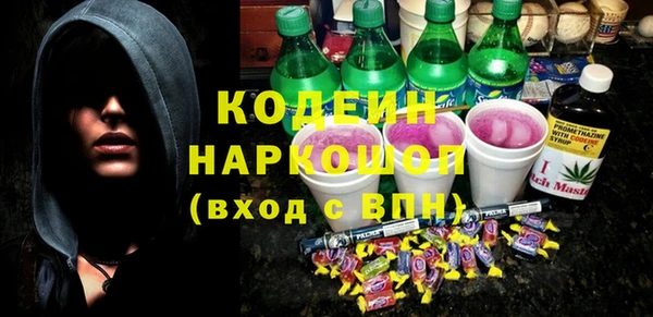 шишки Алзамай